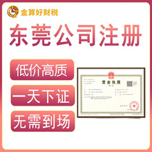 東莞代理記賬與代理代辦服務 企業高效運營的得力助手